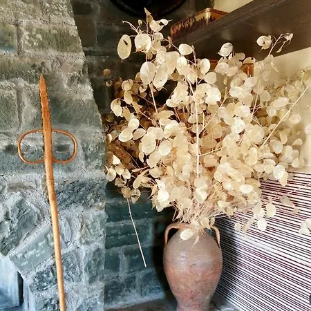 Anogeio - Traditional House In Tikhion Semesterbostad